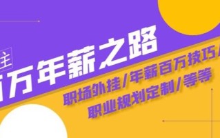 通往百万年薪之路·陪跑训练营：职场外挂/年薪百万技巧/职业规划定制/等等