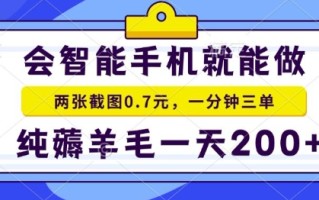 2025年零撸手机项目，二十秒一单，纯薅羊毛，一天200+做就有【揭秘】
