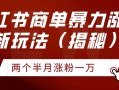 小红书商单暴力涨粉新玩法两个半月涨粉一万（揭秘）