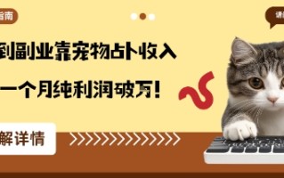 从兴趣到副业靠宠物占卜收入翻3倍一个月纯利润破W