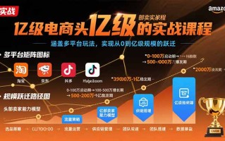 亿级电商头部卖家的实战课程：涵盖多平台玩法，实现从0到亿级规模的跃迁