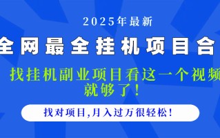 2025最全挂机项目合集 找项目看这一个视频就够了，做对项目月入过万很…