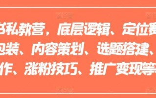 小红书私教营，底层逻辑、定位赛道、账号包装、内容策划、选题搭建、爆款创作、涨粉技巧、推广变现等等