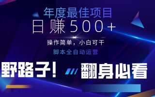 云机全自动答题日赚500+，轻松实现睡后收益，操作简单，2025最新野路子，翻身必看