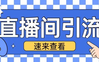 抖音直播间引流创业粉玩法日引200+精准粉丝【揭秘】