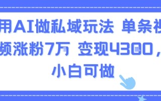 用AI做私域玩法，单条视频涨粉7W变现4.3k，小白可做