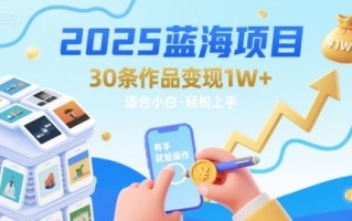 2025蓝海项目30条作品 变现1w+ 有手就能操作适合小白做