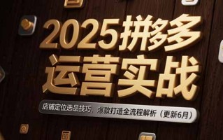 2025拼多多运营实战：店铺定位选品技巧，爆款打造全流程解析(更新6月