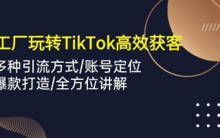 外贸工厂玩转TikTok高效获客，多种引流方式/账号定位/爆款打造/全方位讲解