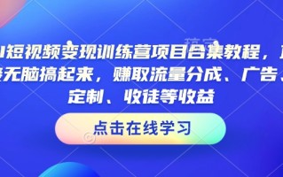 AI短视频变现训练营项目合集教程，直接无脑搞起来，赚取流量分成、广告、定制、收徒等收益