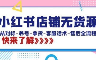 小红书店铺无货源：从对标-养号-拿货-客服话术-售后全流程(20节课)