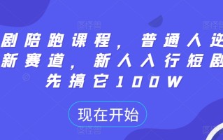 短剧陪跑课程，普通人逆袭的新赛道，新人入行短剧，先搞它100W