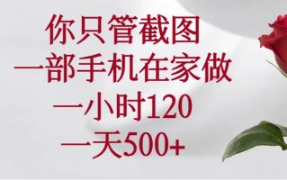 你只管截图，一部手机在家做，一小时120，一天500+