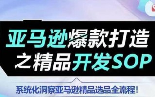 【训练营】亚马逊爆款打造之精品开发SOP，系统化洞察亚马逊精品选品全流程