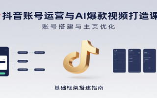 抖音账号运营与AI爆款视频打造课：含账号搭建、运营及多种AI特效视频制作方法
