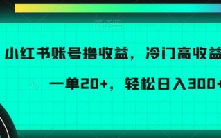 小红书账号撸收益，冷门高收益项目，一单20+，轻松日入300+【揭秘】