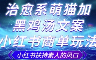 治愈系萌猫加+黑鸡汤文案，小红书商单玩法，3~10天涨到1000粉，一单200左右