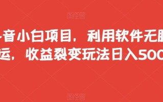 抖音小白项目，利用软件无脑搬运，收益裂变玩法日入500+【揭秘】