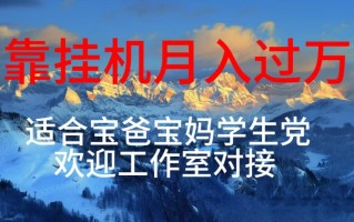 每天躺着日入几百挂机项目，适合宝爸宝妈学生党工作室对接