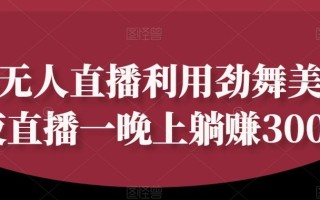 快手无人直播利用劲舞美女深夜直播一晚上躺赚300+