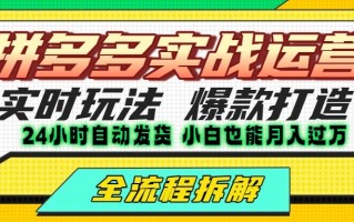 拼多多最新实战运营高投产：长久稳定项目，单店利润一天三位数