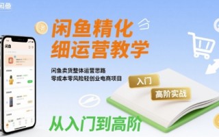 闲鱼精细化运营入门+高阶实战教学，闲鱼卖货整体运营思路，零成本零风险轻创业电商项目