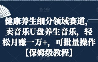 健康养生细分领域赛道，卖音乐U盘养生音乐，轻松月赚一万+，可批量操作【保姆级教程】