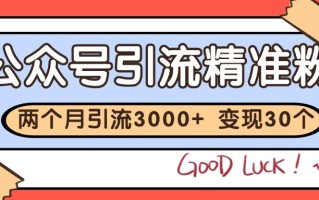 公众号私域获客，软文引流个人IP打造日引30+，快速沉淀起自己的私域流量池