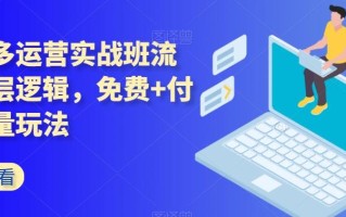 拼多多运营实战班流量底层逻辑，免费+付费流量玩法