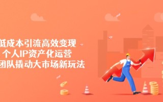 低成本引流高效变现，个人IP资产化运营，小团队撬动大市场新玩法