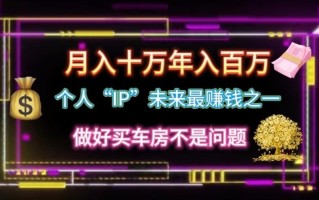 个人“ip”月入10w，年入100w