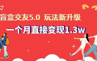 盲盒交友5.0，玩法全新升级，一个月直接变现1.3W，新手小白轻松上手【揭秘】