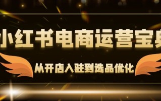 小红书电商运营宝典：从开店入驻到选品优化，一站式解决你的电商难题