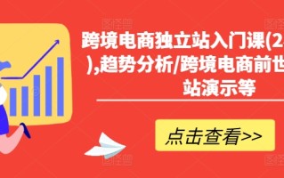 跨境电商独立站入门课(2小时精华),趋势分析/跨境电商前世今生/建站演示等