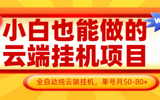 小白也能做的云端挂机项目无需操作，云端挂机，支持批量，单号月50-100，完全解放双手