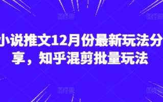 小说推文12月份最新玩法分享，知乎混剪批量玩法