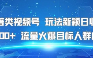 名著类视频号 玩法新颖日收益500+ 流量火爆目标人群广