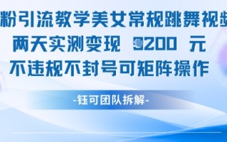男粉引流教学美女常规跳舞视频两天实测变现1k+，不违规不封号可矩阵操作