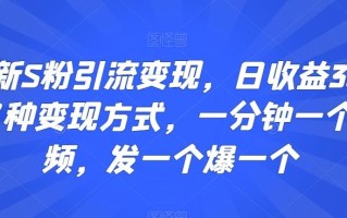最新S粉引流变现，日收益300+多种变现方式，一分钟一个视频，发一个爆一个【揭秘】