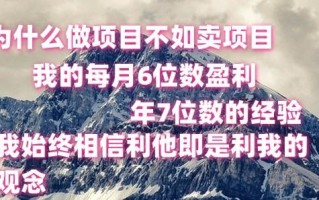 做项目不如卖项目，每月6位数盈利，年7位数经验