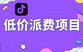 抖音低价派单项目，0门槛，日入1000+很轻松，小白可操作【揭秘】