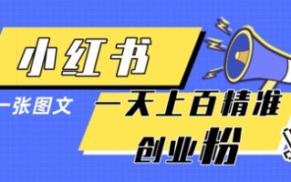 小红书模版一张图片一天轻松引流上百创业粉
