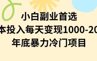 小白副业首选，0成本投入，每天变现1000-2000年底暴力冷门项目【揭秘】