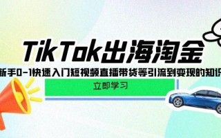 (10035期)TikTok-出海淘金，新手0-1快速入门短视频直播带货等引流到变现的知识