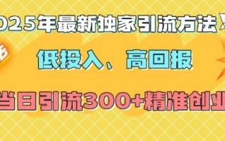 2025年最新独家引流方法，低投入高回报？当日引流300+精准创业粉
