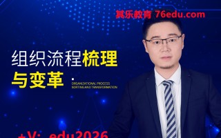 组织流程梳理与变革（2集） mp4高清无水印视频教程网盘免费下载