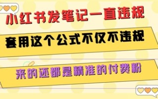 小红书发笔记一直违规，套用这个公式不仅不违规，来的还都是精准的付费粉