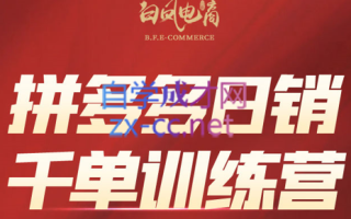白凤电商·拼多多日销千单训练营(更新6月)
