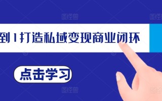 从0到1打造私域变现商业闭环，私域变现操盘手，私域IP打造