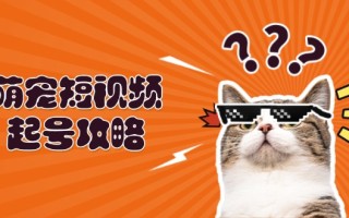 萌宠-短视频起号攻略：定位搭建推流全解析，助力新手轻松打造爆款
